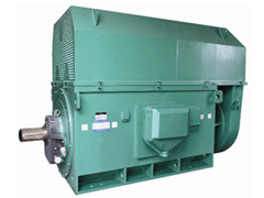 海城Y系列6KV高压电机